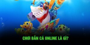 chơi bắn cá online là gì