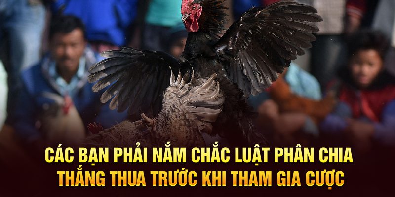 Các bạn phải nắm chắc luật phân chia thắng thua trước khi tham gia cược