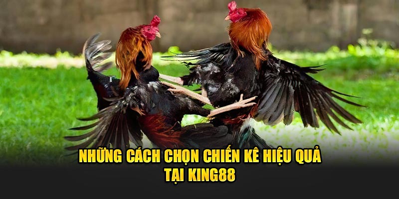 nhung-cach-chon-chien-ke-hieu-qua-tai-king88