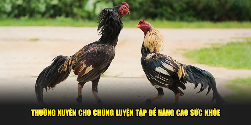 Thuong-xuyen-cho-chung-luyen-tap-de-nang-cao-suc-khoe