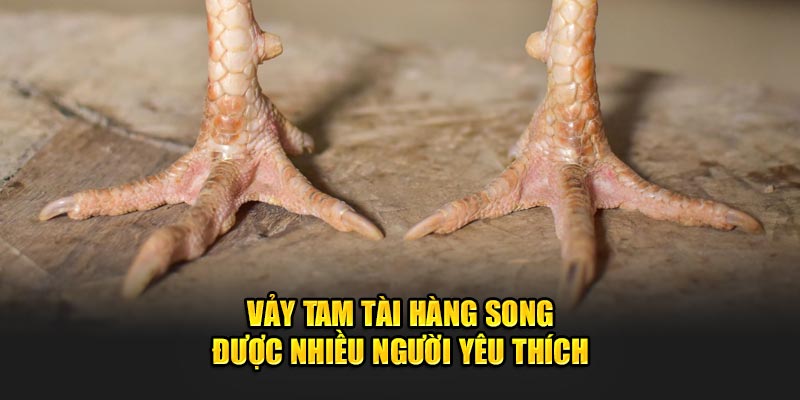 vay-tam-tai-hang-song-duoc-nhieu-nguoi-yeu-thich